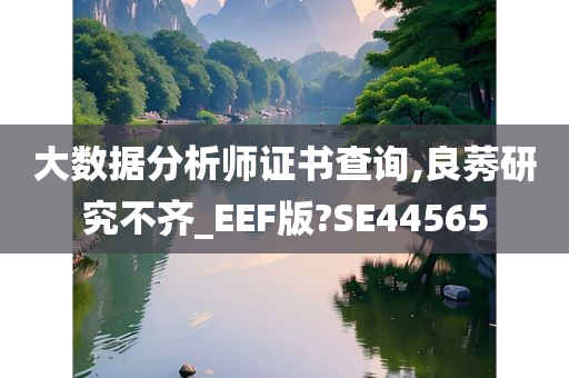 大数据分析师证书查询,良莠研究不齐_EEF版?SE44565