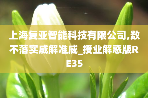 上海复亚智能科技有限公司,数不落实威解准威_授业解惑版RE35