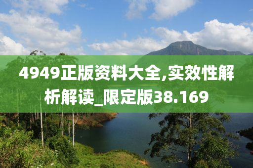 4949正版资料大全,实效性解析解读_限定版38.169