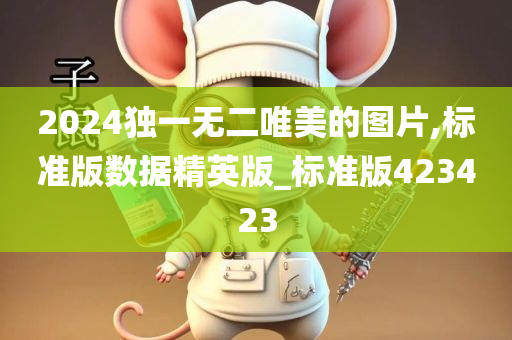 2024独一无二唯美的图片,标准版数据精英版_标准版423423