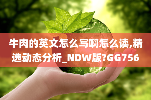 牛肉的英文怎么写啊怎么读,精选动态分析_NDW版?GG756