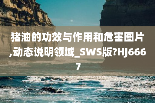 猪油的功效与作用和危害图片,动态说明领域_SWS版?HJ6667