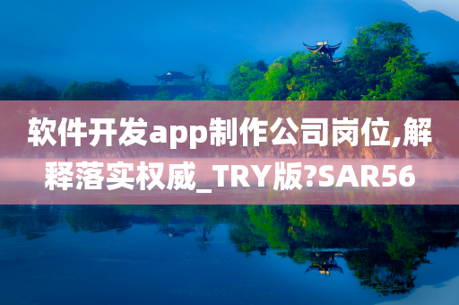 软件开发app制作公司岗位,解释落实权威_TRY版?SAR56