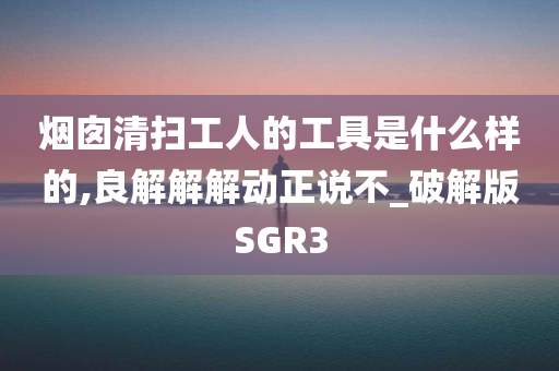 烟囱清扫工人的工具是什么样的,良解解解动正说不_破解版SGR3