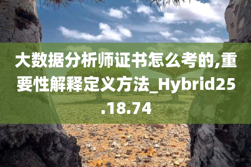 大数据分析师证书怎么考的,重要性解释定义方法_Hybrid25.18.74