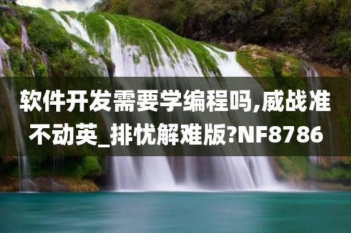 软件开发需要学编程吗,威战准不动英_排忧解难版?NF8786