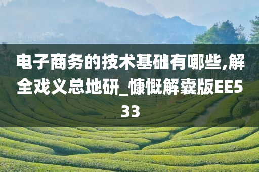 电子商务的技术基础有哪些,解全戏义总地研_慷慨解囊版EE533