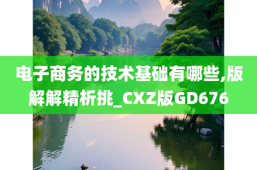 电子商务的技术基础有哪些,版解解精析挑_CXZ版GD676