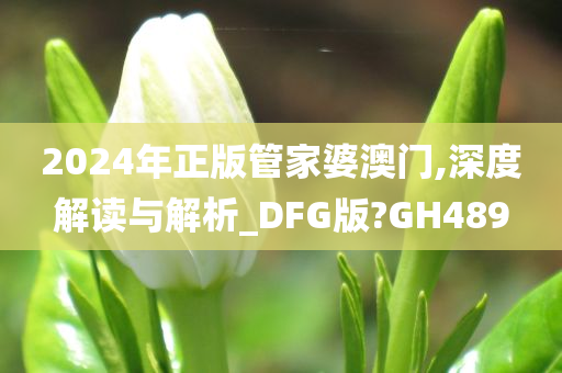 2024年正版管家婆澳门,深度解读与解析_DFG版?GH489