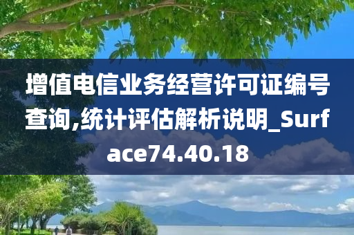 增值电信业务经营许可证编号查询,统计评估解析说明_Surface74.40.18