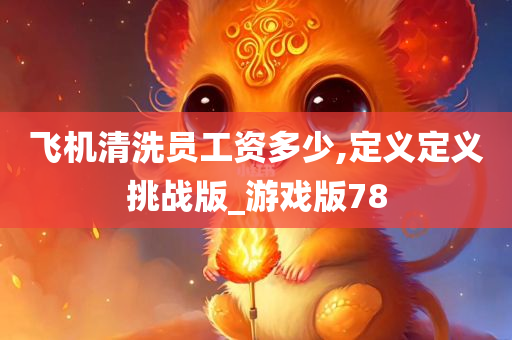 飞机清洗员工资多少,定义定义挑战版_游戏版78