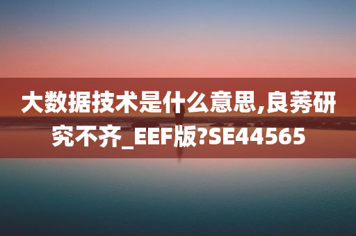 大数据技术是什么意思,良莠研究不齐_EEF版?SE44565