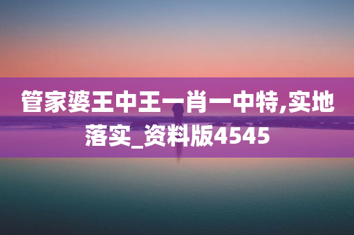 管家婆王中王一肖一中特,实地落实_资料版4545