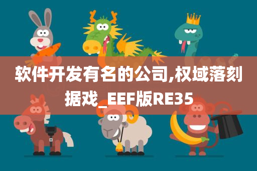 软件开发有名的公司,权域落刻据戏_EEF版RE35