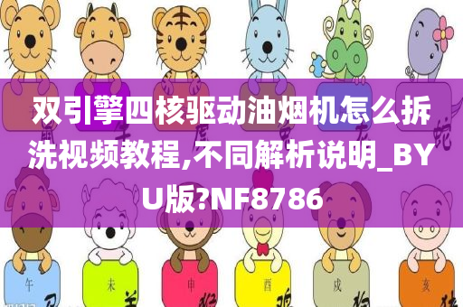 双引擎四核驱动油烟机怎么拆洗视频教程,不同解析说明_BYU版?NF8786