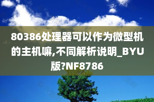 80386处理器可以作为微型机的主机嘛,不同解析说明_BYU版?NF8786