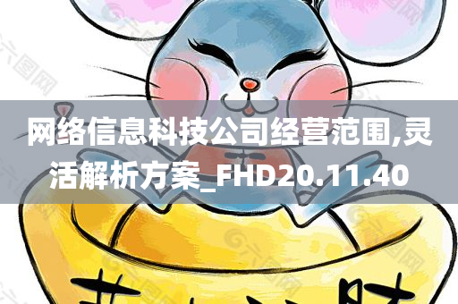 网络信息科技公司经营范围,灵活解析方案_FHD20.11.40