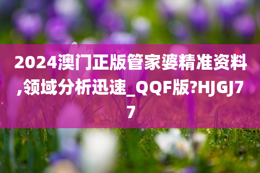 2024澳门正版管家婆精准资料,领域分析迅速_QQF版?HJGJ77