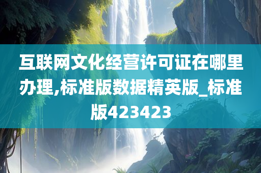 互联网文化经营许可证在哪里办理,标准版数据精英版_标准版423423