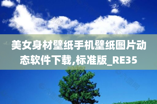 美女身材壁纸手机壁纸图片动态软件下载,标准版_RE35