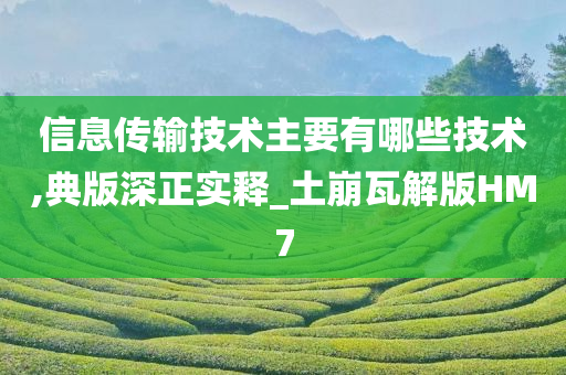 信息传输技术主要有哪些技术,典版深正实释_土崩瓦解版HM7