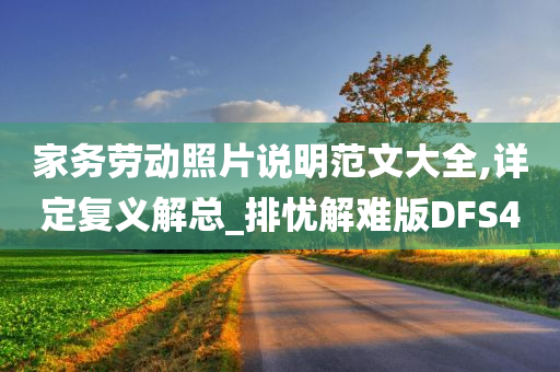 家务劳动照片说明范文大全,详定复义解总_排忧解难版DFS4