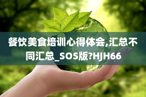 餐饮美食培训心得体会,汇总不同汇总_SOS版?HJH66