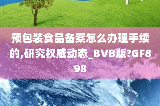 预包装食品备案怎么办理手续的,研究权威动态_BVB版?GF898