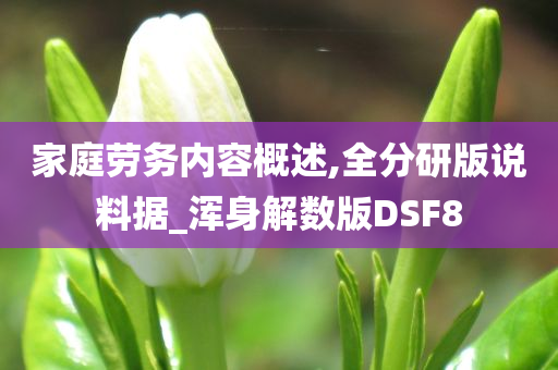 家庭劳务内容概述,全分研版说料据_浑身解数版DSF8