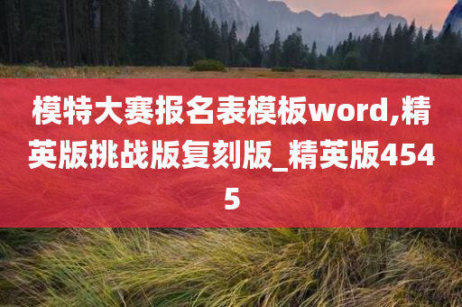 模特大赛报名表模板word,精英版挑战版复刻版_精英版4545