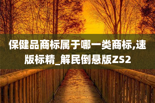 保健品商标属于哪一类商标,速版标精_解民倒悬版ZS2