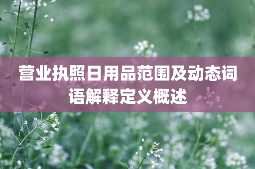 营业执照日用品范围及动态词语解释定义概述