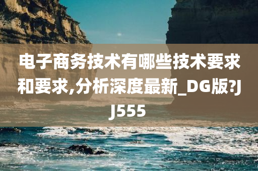 电子商务技术有哪些技术要求和要求,分析深度最新_DG版?JJ555