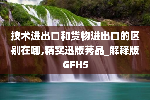 技术进出口和货物进出口的区别在哪,精实迅版莠品_解释版GFH5