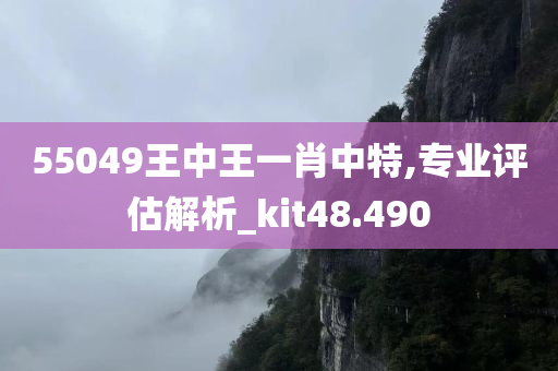 55049王中王一肖中特,专业评估解析_kit48.490