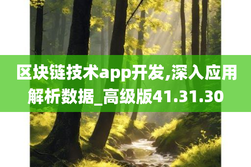 区块链技术app开发,深入应用解析数据_高级版41.31.30