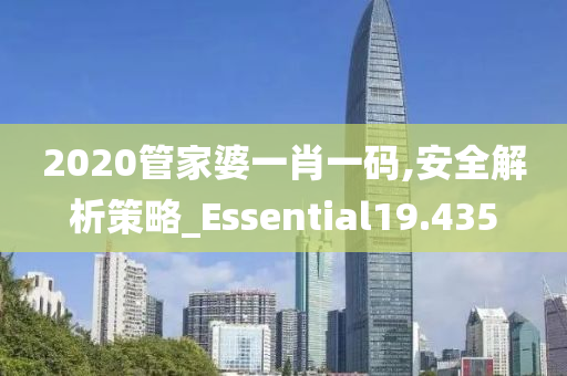 2020管家婆一肖一码,安全解析策略_Essential19.435