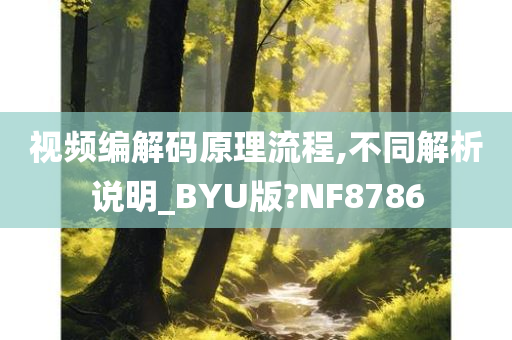 视频编解码原理流程,不同解析说明_BYU版?NF8786