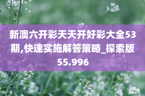 新澳六开彩天天开好彩大全53期,快速实施解答策略_探索版55.996