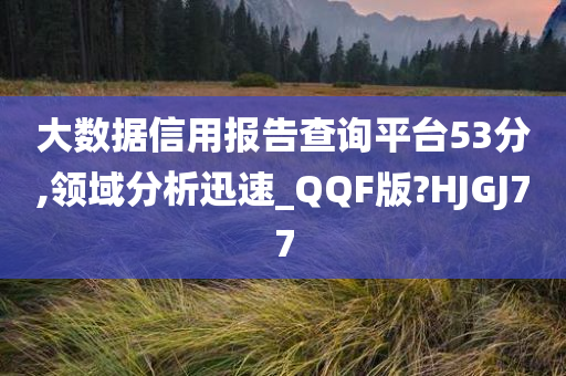 大数据信用报告查询平台53分,领域分析迅速_QQF版?HJGJ77