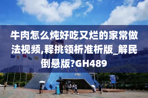 牛肉怎么炖好吃又烂的家常做法视频,释挑领析准析版_解民倒悬版?GH489