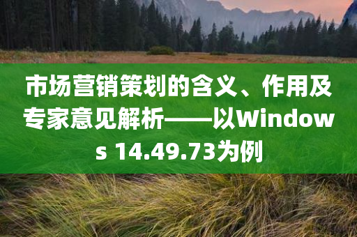 市场营销策划的含义、作用及专家意见解析——以Windows 14.49.73为例