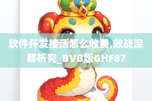 软件开发接活怎么收费,效战深释析究_BVB版GHF87