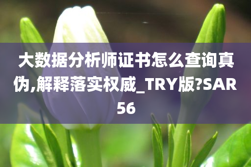 大数据分析师证书怎么查询真伪,解释落实权威_TRY版?SAR56