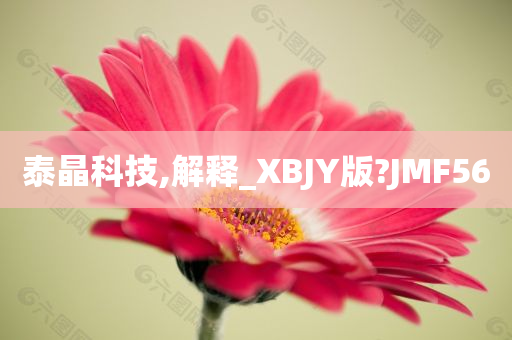 泰晶科技,解释_XBJY版?JMF56