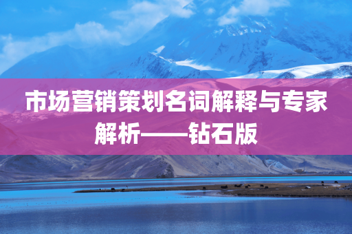 市场营销策划名词解释与专家解析——钻石版