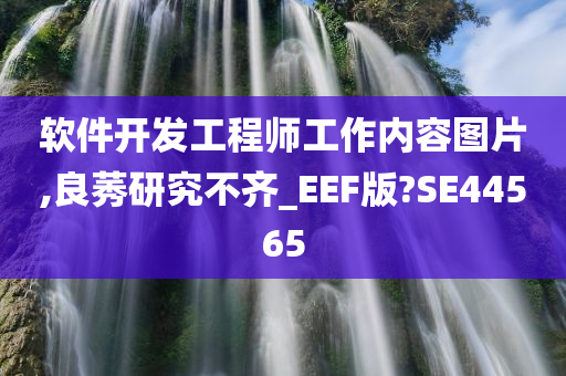 软件开发工程师工作内容图片,良莠研究不齐_EEF版?SE44565