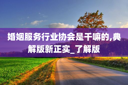 婚姻服务行业协会是干嘛的,典解版新正实_了解版