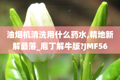 油烟机清洗用什么药水,精地新解最落_庖丁解牛版?JMF56