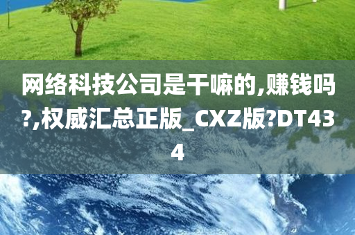 网络科技公司是干嘛的,赚钱吗?,权威汇总正版_CXZ版?DT434